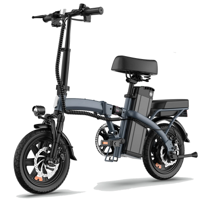 Vélo électrique Adulte Moteur 250 W, Batterie 48 V 7,5 Ah et Style unisexe