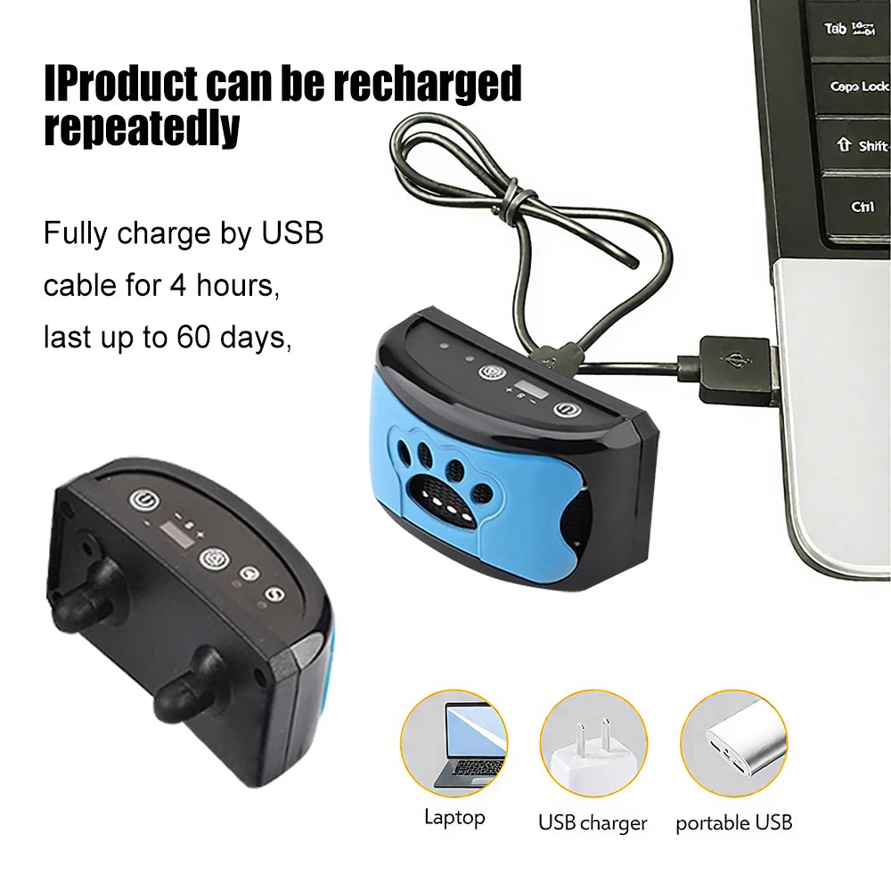 collier anti aboiement rechargeable avec USB -