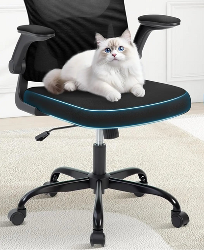 Chaise de bureau moderne et simple - vente privée 14:193Grey;200007763:203372089