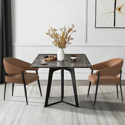Chaise salle à manger tendance de luxe 2 pièces - vente privée 14:200143091Brown and Black;200007763:201336101