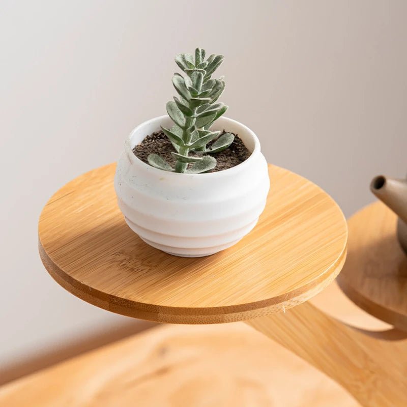 Petite étagère bureau en bois pour pot de fleur - vente privée 14:173Style 3