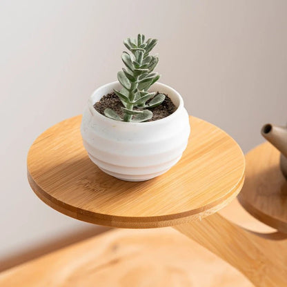 Petite étagère bureau en bois pour pot de fleur - vente privée 14:173Style 3