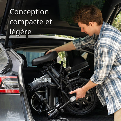 Vélo électrique Adulte Moteur 250 W, Batterie 48 V 7,5 Ah et Style unisexe