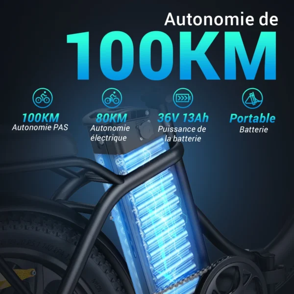 HillMiles MilePort Vélo Électrique Pliable 20" Fat Tire 250W 36V 13Ah vue 2