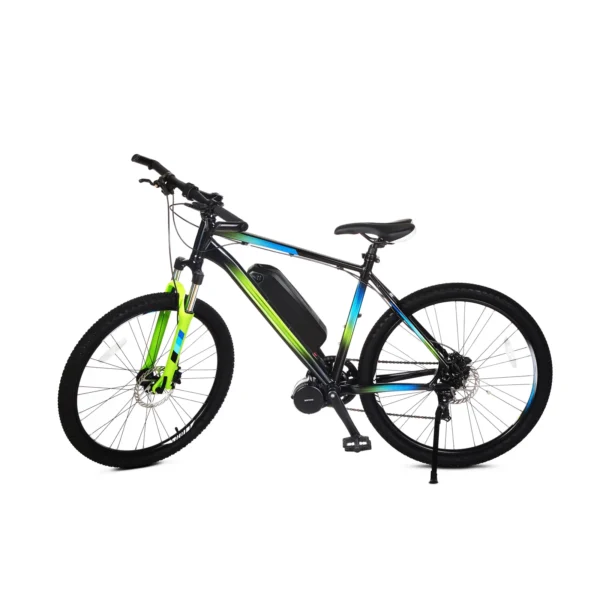 Batterie lithium pour vélo électrique Hailong G70 G56 36V 48V vue 2