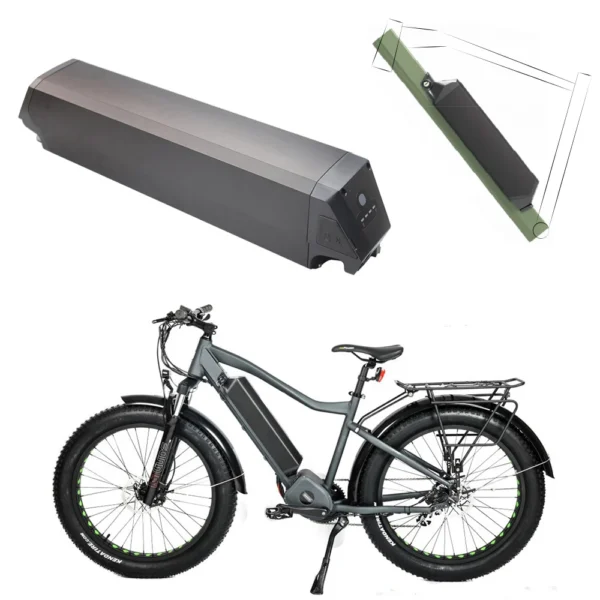 Batterie de Remplacement pour Vélo Électrique Dorado Plus 48V / 52V 20Ah avec BMS vue 2